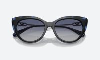 Emporio Armani EA4213U 51451W Blue - Image 4