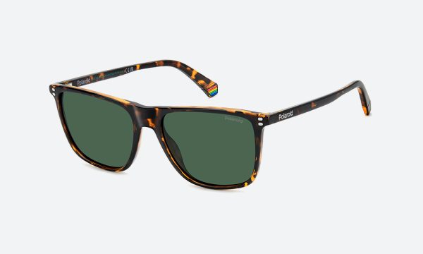 Polaroid PLD 6232/S 086UC Havana