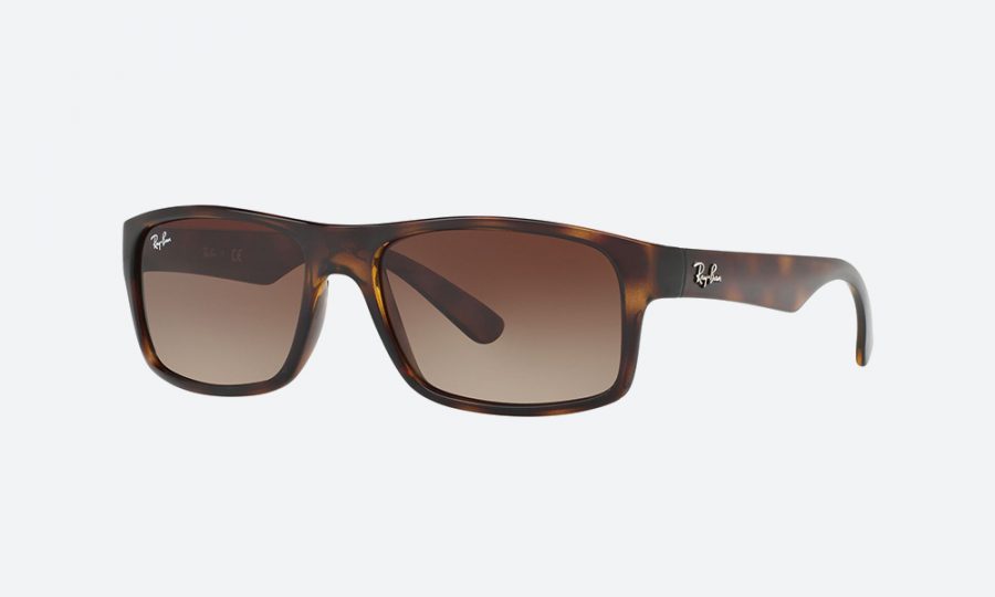 RayBan RB4205I 710/13 Havana