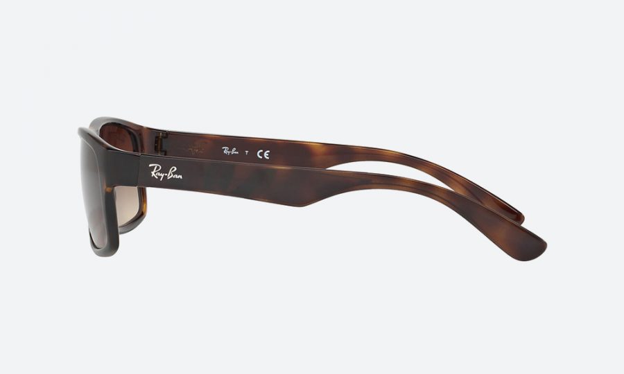 RayBan RB4205I 710/13 Havana - Image 3