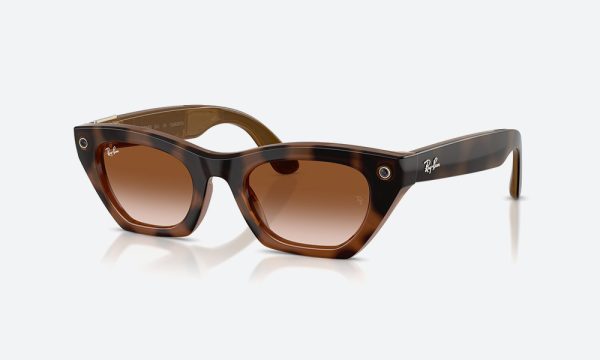 Rayban Meta 3 RW4015 690513 Havana