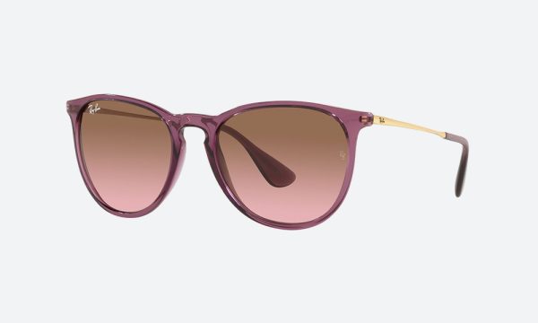 Rayban RB4171 659114 Purple