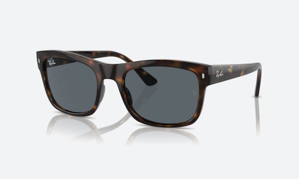 Rayban RB4428 710/R5 Havana
