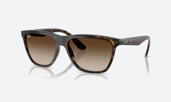 Rayban RB4442I 710/13 Havana