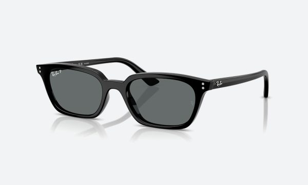 Rayban RB4456 667781 Black