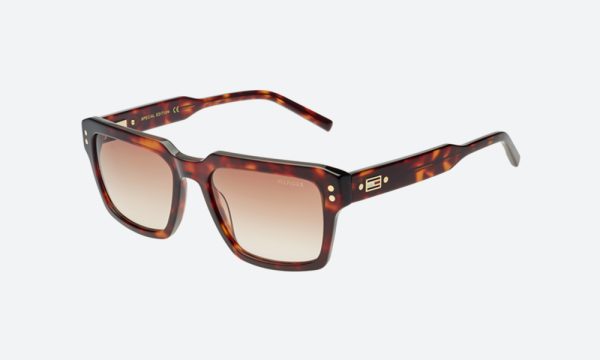 Tommy Hilfiger TH8008 C2 HAVGDBR-34 Havana